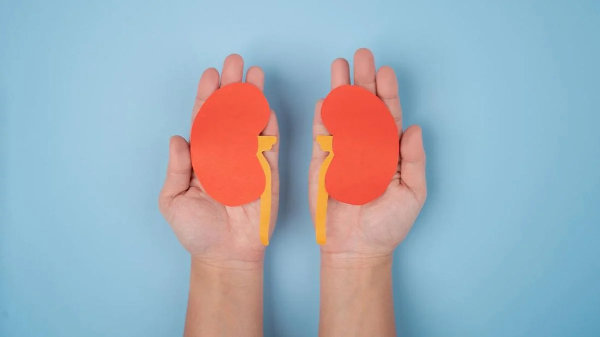 Gaya Hidup Picu Penyakit Ginjal di Usia 20-an, Kok Bisa?