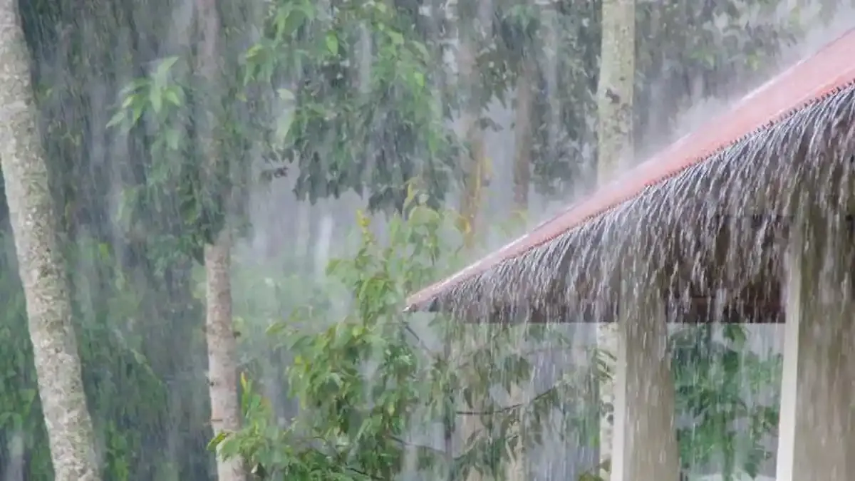 Kapan Kemarau 2026? Ini Prediksi Terbaru BMKG!