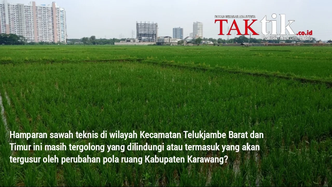 Lahan Sawah Dilindungi: 6,5 Juta Hektar Aman di 2026