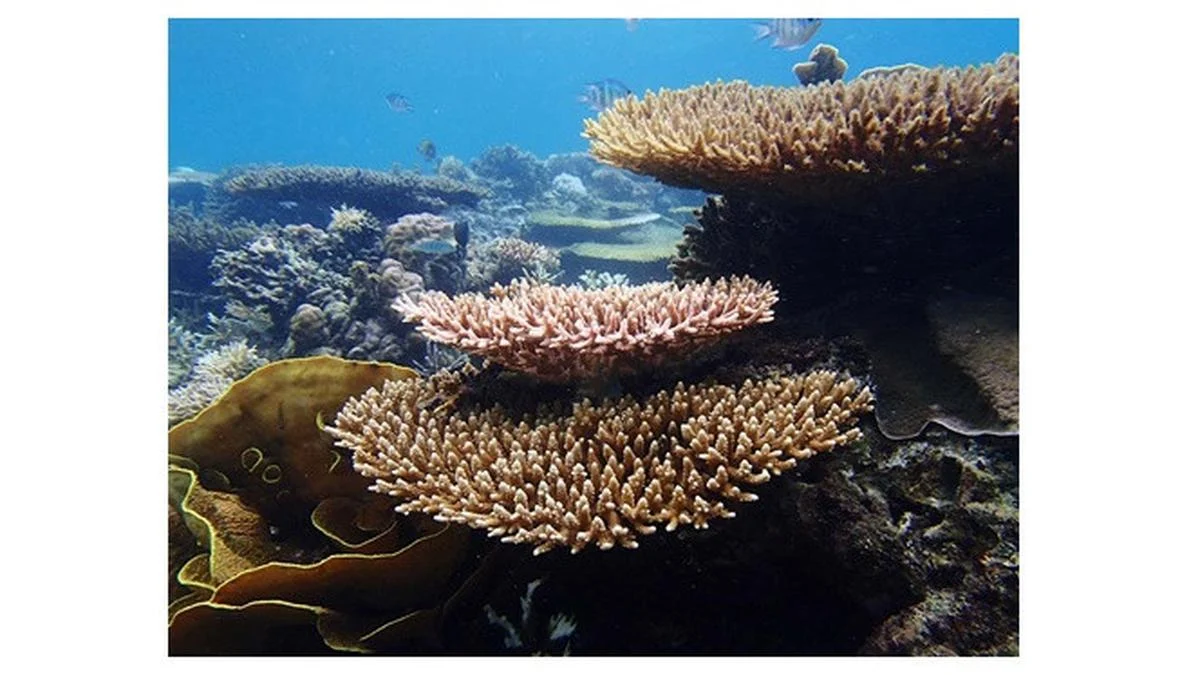 Wisata Lontar Sewu: Dongkrak Ekonomi Gresik di 2026